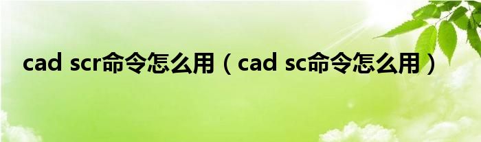 cad scr命令怎么用（cad sc命令怎么用）
