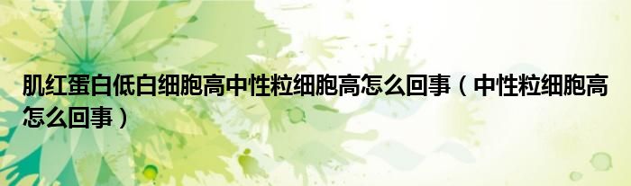 肌紅蛋白低白細胞高中性粒細胞高怎么回事（中性粒細胞高怎么回事）