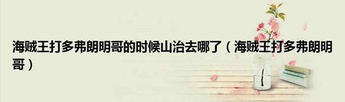 海賊王打多弗朗明哥的時候山治去哪了（海賊王打多弗朗明哥）