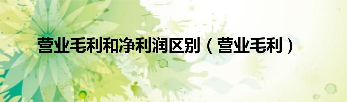 營業(yè)毛利和凈利潤區(qū)別（營業(yè)毛利）