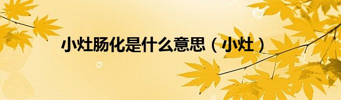 小灶腸化是什么意思（小灶）