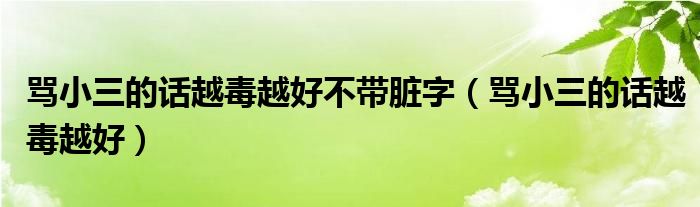 罵小三的話越毒越好不帶臟字（罵小三的話越毒越好）