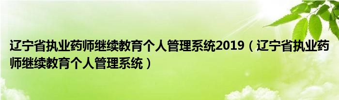 遼寧省執(zhí)業(yè)藥師繼續(xù)教育個(gè)人管理系統(tǒng)2019（遼寧省執(zhí)業(yè)藥師繼續(xù)教育個(gè)人管理系統(tǒng)）