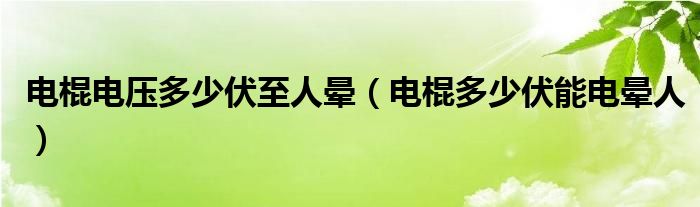 電棍電壓多少伏至人暈（電棍多少伏能電暈人）