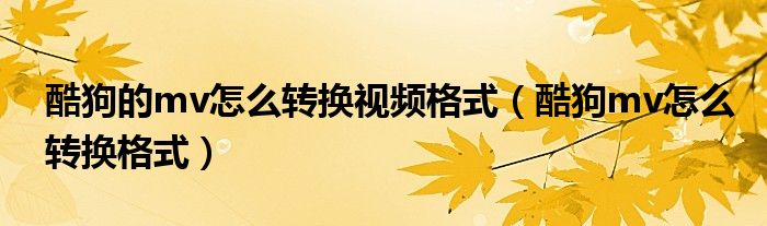 酷狗的mv怎么轉(zhuǎn)換視頻格式（酷狗mv怎么轉(zhuǎn)換格式）