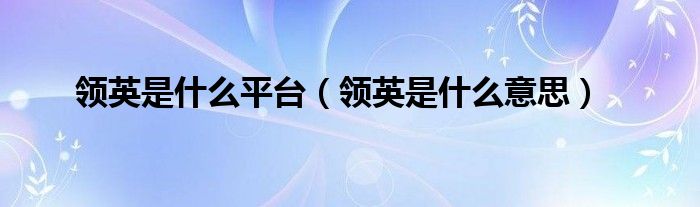 領英是什么平臺（領英是什么意思）