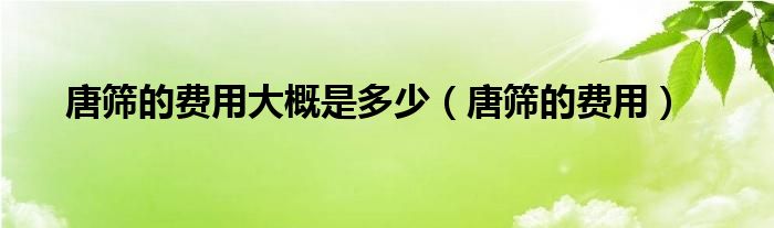 唐篩的費(fèi)用大概是多少（唐篩的費(fèi)用）