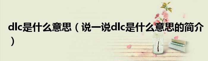 dlc是什么意思（說(shuō)一說(shuō)dlc是什么意思的簡(jiǎn)介）