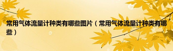 常用氣體流量計(jì)種類有哪些圖片（常用氣體流量計(jì)種類有哪些）