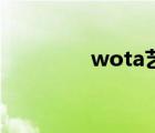 wota藝藝介紹（wota藝）