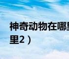 神奇動(dòng)物在哪里2迅雷下載（神奇的動(dòng)物在哪里2）