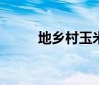 地鄉(xiāng)村玉米地（玉米田強干農婦）