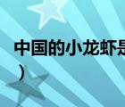 中國的小龍蝦是怎么來的（中國的小龍蝦來源）