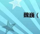 魏?。ㄕf一說魏巍的簡介）