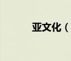 亞文化（說(shuō)一說(shuō)亞文化的簡(jiǎn)介）