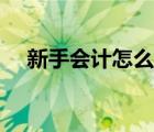 新手會(huì)計(jì)怎么做賬（會(huì)計(jì)新手做賬入門）
