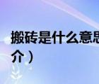 搬磚是什么意思（說一說搬磚是什么意思的簡介）