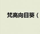 梵高向日葵（說一說梵高向日葵的簡介）