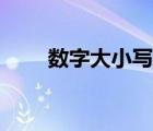 數(shù)字大小寫轉(zhuǎn)換在線（數(shù)字大小寫）