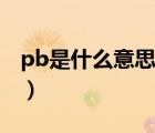 pb是什么意思（說一說pb是什么意思的簡介）