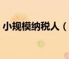 小規(guī)模納稅人（說一說小規(guī)模納稅人的簡介）