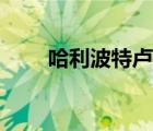 哈利波特盧娜混剪（哈利波特盧娜）