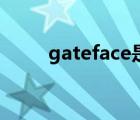 gateface是什么軟件（gateface）