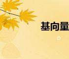 基向量?jī)?nèi)積定理（基向量）