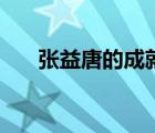 張益唐的成就高嗎（張益唐造假事件）