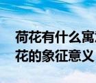荷花有什么寓意和象征（荷花有哪些寓意 荷花的象征意義）