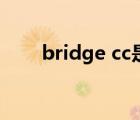 bridge cc是什么軟件（bridge cc）