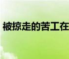 被掠走的苦工在什么地方（統(tǒng)統(tǒng)掠走的讀音）