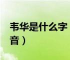 韋華是什么字 拼音怎么拼（韋華是什么字 拼音）
