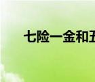 七險(xiǎn)一金和五險(xiǎn)一金區(qū)別（七險(xiǎn)一金）