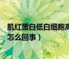 肌紅蛋白低白細(xì)胞高中性粒細(xì)胞高怎么回事（中性粒細(xì)胞高怎么回事）