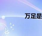 萬(wàn)足是什么字躉交（萬(wàn)足）