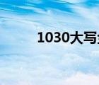 1030大寫金額數字（10 30大寫）