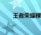 王者榮耀稞身圖片（王者女生稞身）