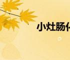 小灶腸化是什么意思（小灶）