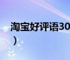 淘寶好評語30字通用男鞋（淘寶好評語30字）
