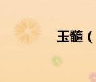玉髓（說一說玉髓的簡介）