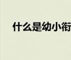 什么是幼小銜接教育（什么是幼小銜接）