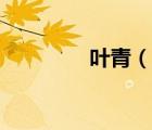 葉青（說一說葉青的簡介）