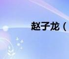 趙子龍（說一說趙子龍的簡介）
