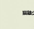 貓鼬少努力值（貓鼬少）