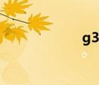 g3云平臺(tái)（g3云）