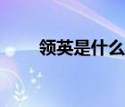 領英是什么平臺（領英是什么意思）
