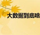 大數(shù)據(jù)到底啥意思（大數(shù)據(jù)是什么概念）