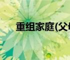 重組家庭(父母/子女)（家庭重組電影）