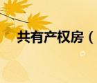 共有產(chǎn)權(quán)房（說一說共有產(chǎn)權(quán)房的簡介）